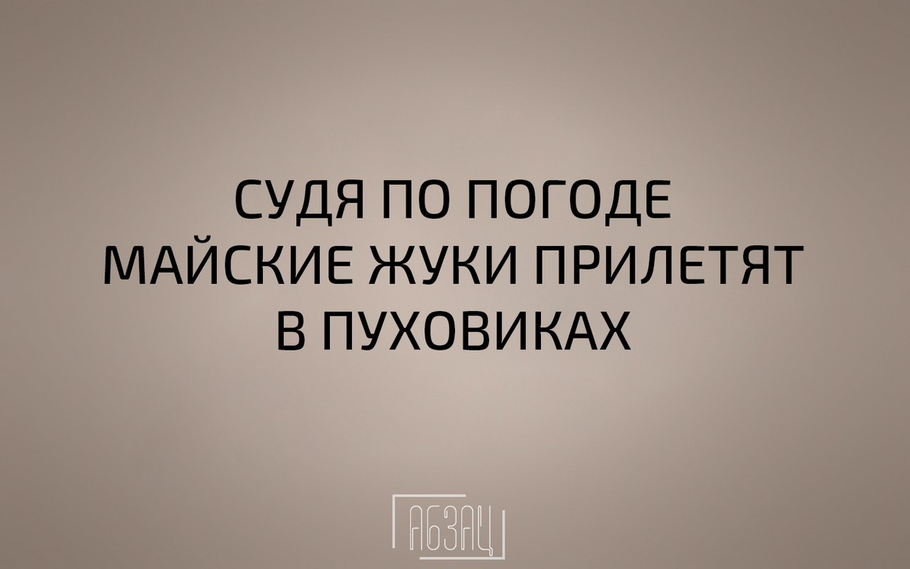 Майские жуки прилетят в пуховиках картинки