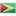 Логотип «Гайана»