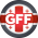 Лого Грузия (до 21)