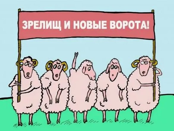 Песни новые ворота. Баран на новые ворота. Хлеба и зрелищ рисунок. Хлеба и зрелищ смешной рисунок. Хлеба и новые ворота.