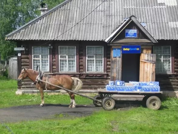 Юсуф без Наташи, «колхозники» Азмуна и инструктаж Кокорина. Лучшие шутки января