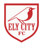 Логотип футбольный клуб Эли Сити