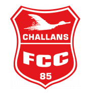 Логотип футбольный клуб Шалан