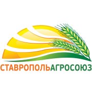Логотип футбольный клуб СтавропольАгроСоюз (Ивановское)