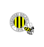 Логотип футбольный клуб Бронсхой