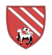 Логотип футбольный клуб Дройлсден