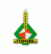Логотип футбольный клуб Горняк (Учалы)
