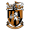 Логотип футбольный клуб Фолкстоун Инвикта